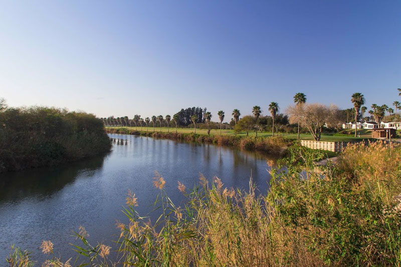 Lake and Greens