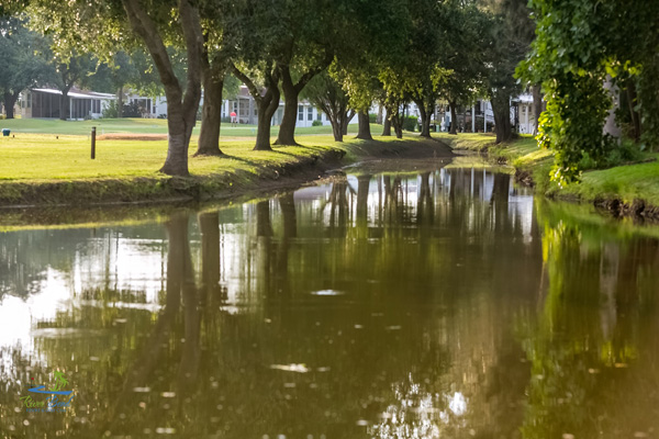 Lake and Greens